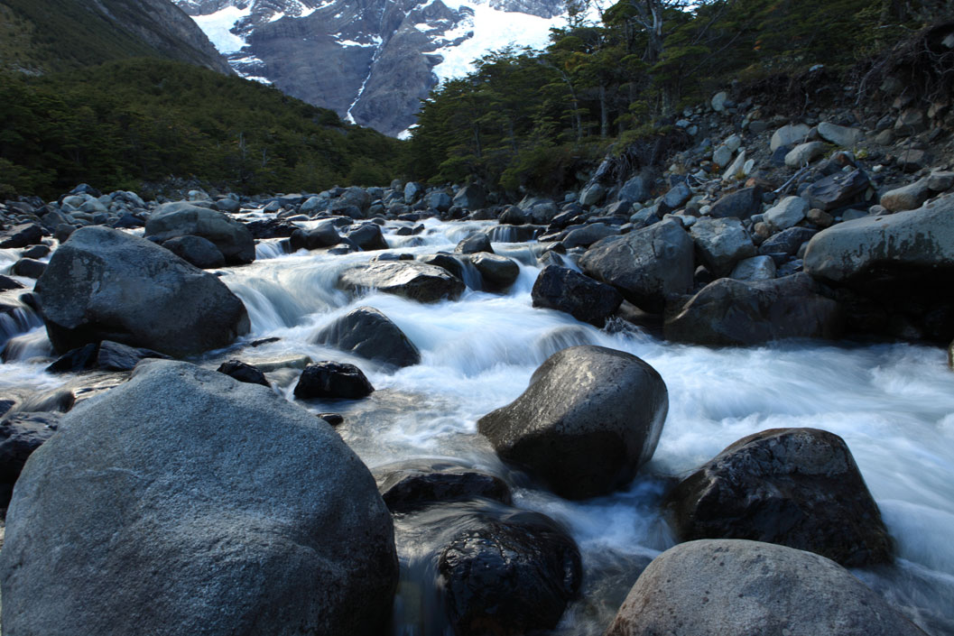 Sustentabilidad Ambiental